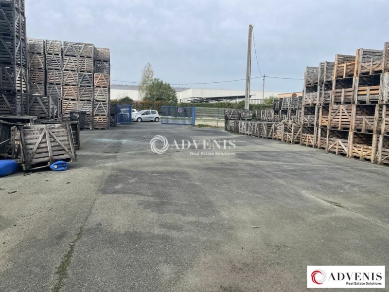 Location Activités Entrepôts SAINT LOUBÈS (33450) - Photo 4