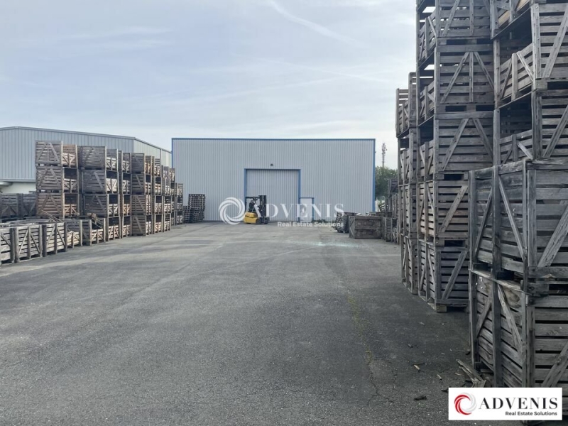 Location Activités Entrepôts SAINT LOUBÈS (33450) - Photo 5