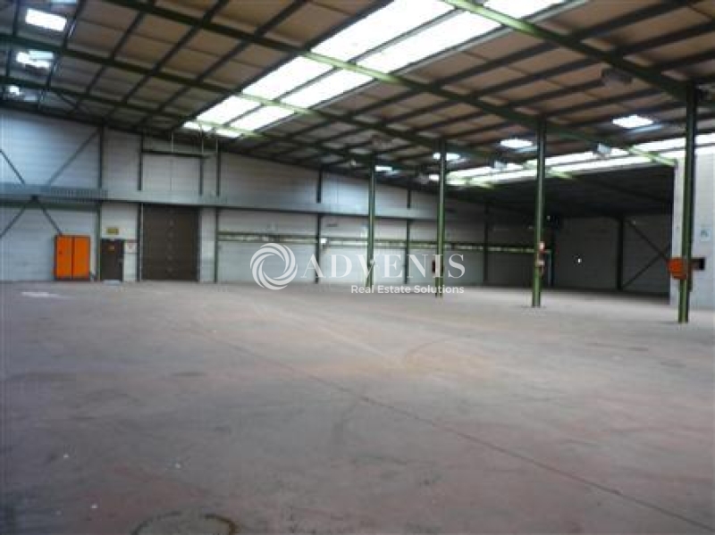 Location Activités Entrepôts PODENSAC (33720) - Photo 1
