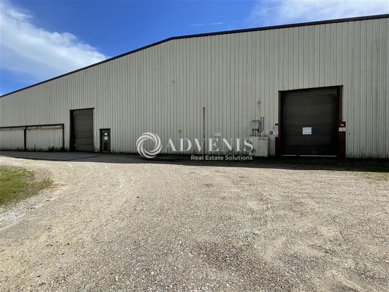 Location Activités Entrepôts PODENSAC (33720) - Photo 4