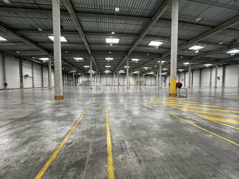 Location Entrepôts MOISSY CRAMAYEL (77550) - Photo 3