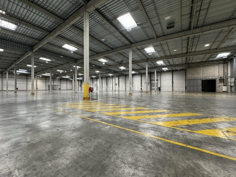 Location Entrepôts MOISSY CRAMAYEL (77550) - Photo 4