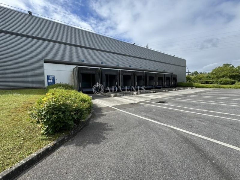 Location Entrepôts MOISSY CRAMAYEL (77550) - Photo 6