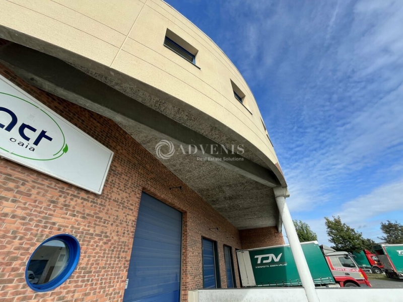 Location Activités Entrepôts MOISSY CRAMAYEL (77550) - Photo 9