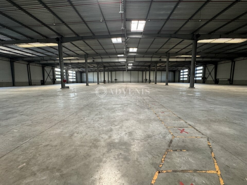 Location Entrepôts SAINT MICHEL SUR ORGE (91240) - Photo 2