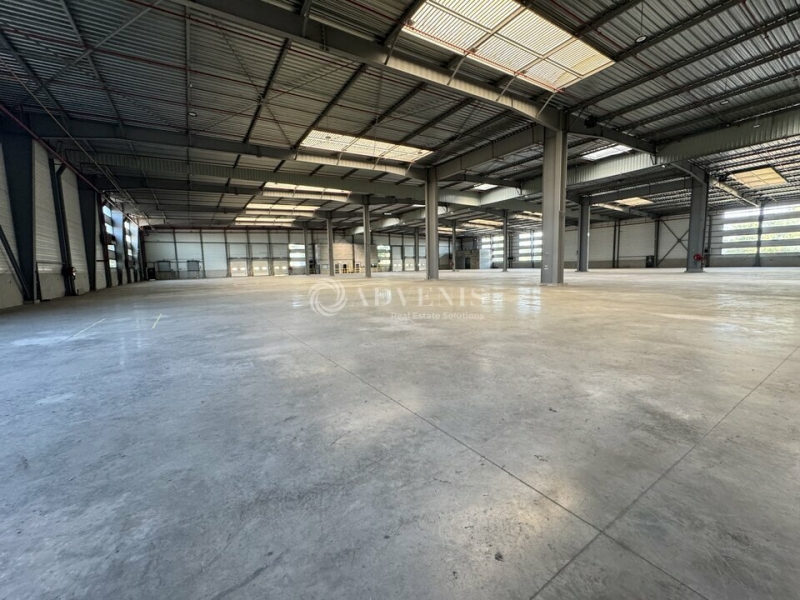 Location Entrepôts SAINT MICHEL SUR ORGE (91240) - Photo 3