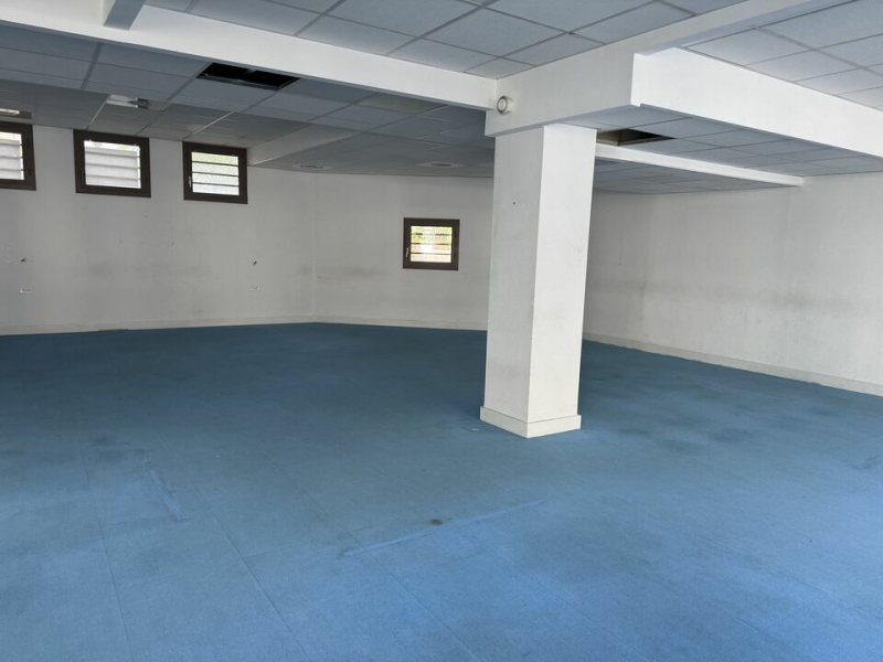 Location Bureaux LYON (69007) - Photo 6