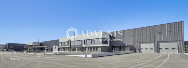Location Activités Entrepôts SAINT PRIEST (69800) - Photo 2