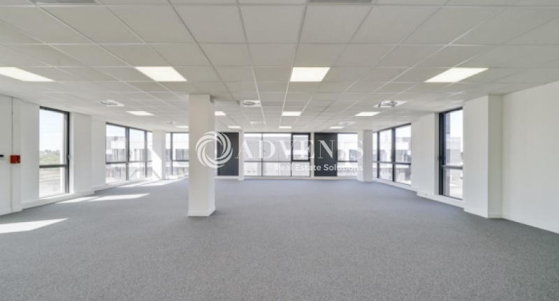 Location Activités Entrepôts SAINT PRIEST (69800) - Photo 5