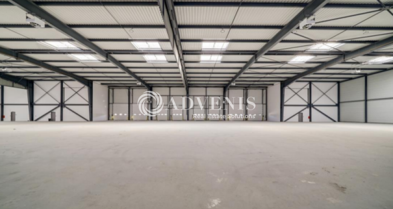 Location Activités Entrepôts SAINT PRIEST (69800) - Photo 9
