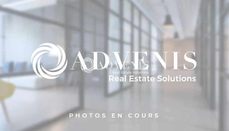 Vente Investisseur Activités Entrepôts CHAPONOST (69630) - Photo 5