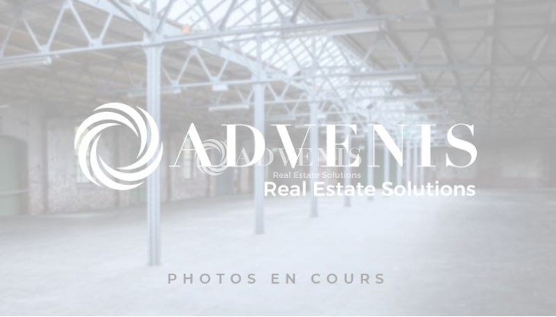 Vente Investisseur Activités Entrepôts DARDILLY (69570) - Photo 4