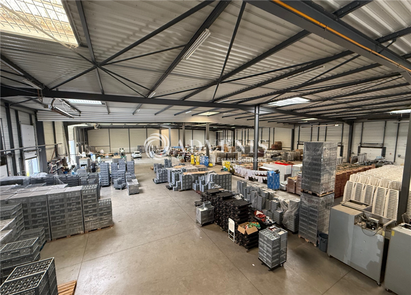 Location Entrepôts MEYZIEU (69330) - Photo 3
