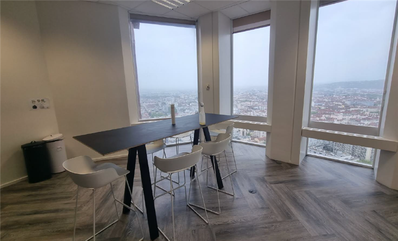 Location Bureaux LYON (69003) - Photo 7