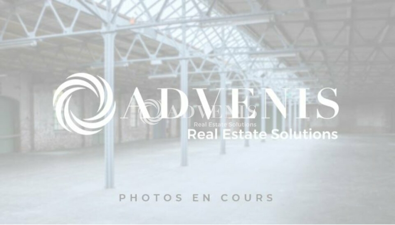Location Activités Entrepôts GENAS (69740) - Photo 5