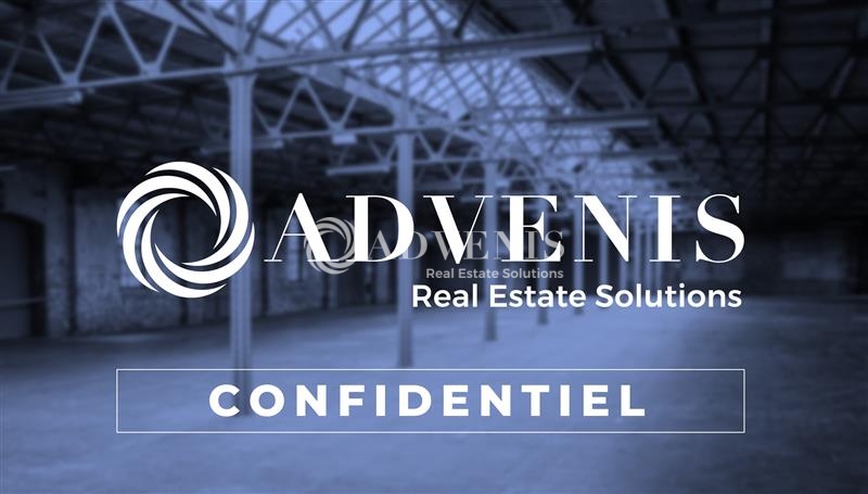 Location Activités Entrepôts CHASSIEU (69680) - Photo 5