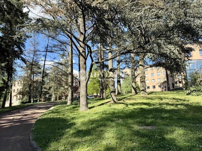 Location Bureaux ECULLY (69130) - Photo 2