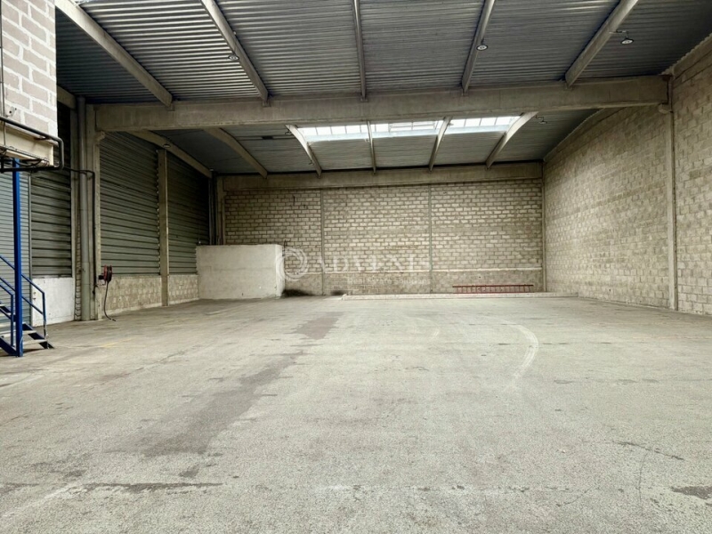 Location Activités Entrepôts CHASSIEU (69680) - Photo 3