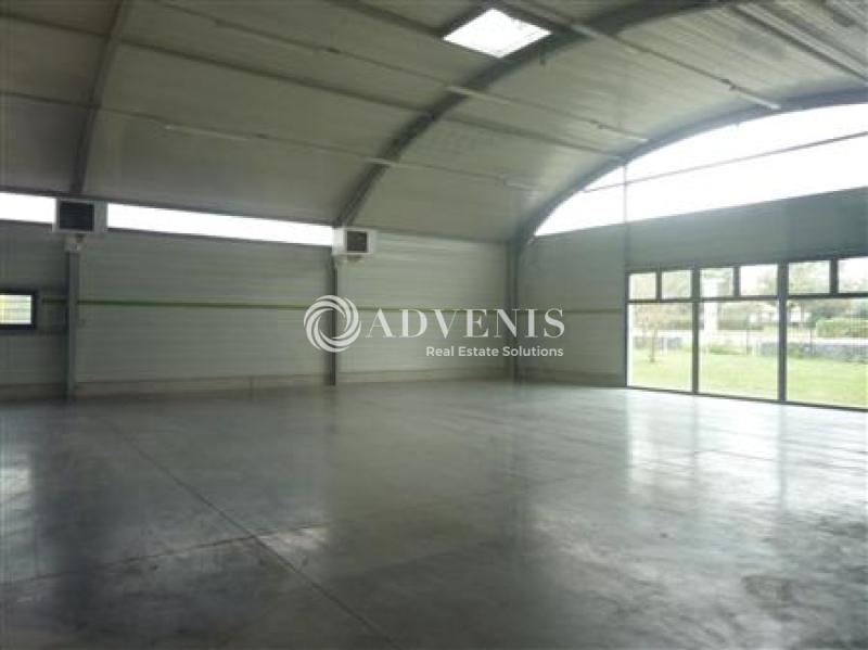 Location Bureaux et activités légères COURCELLES LES LENS (62970) - Photo 2