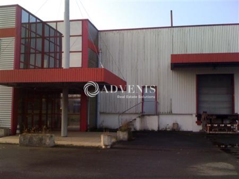 Location Activités Entrepôts NIEPPE (59850) - Photo 1
