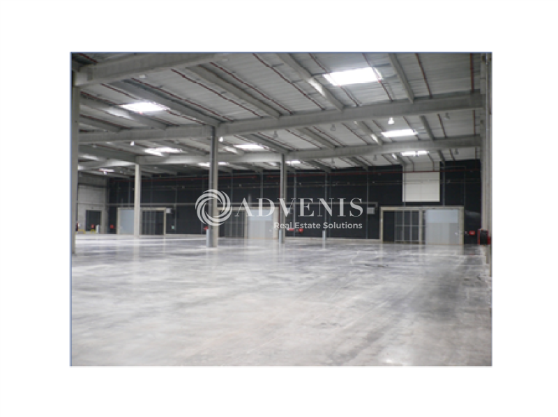 Location Entrepôts HENIN BEAUMONT (62110) - Photo 2