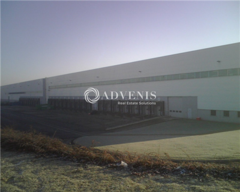 Location Activités Entrepôts RAILLENCOURT SAINTE OLLE (59554) - Photo 1