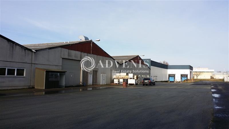 Location Activités Entrepôts NEUVILLE EN FERRAIN (59960) - Photo 1