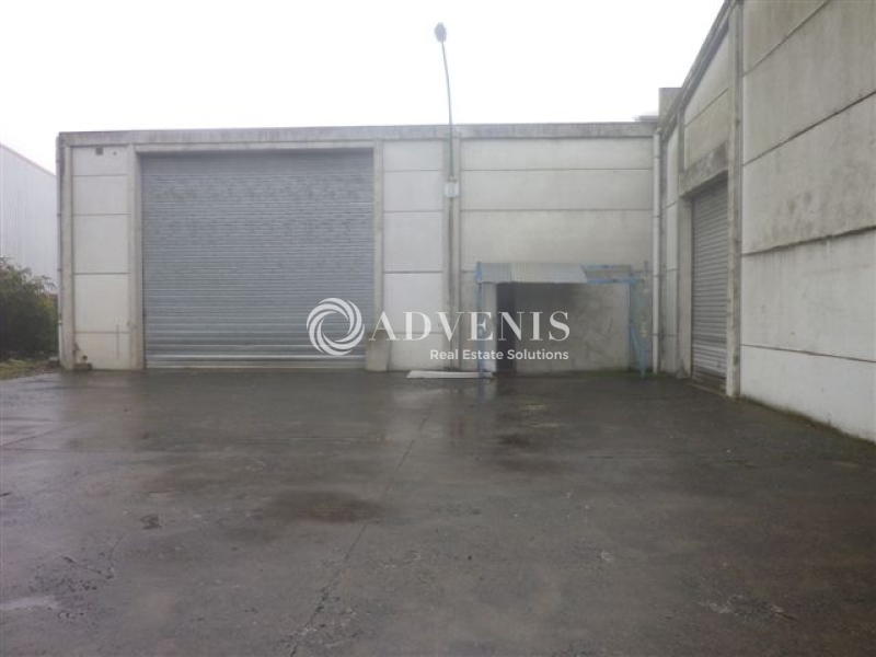 Location Activités Entrepôts TOUFFLERS (59390) - Photo 4