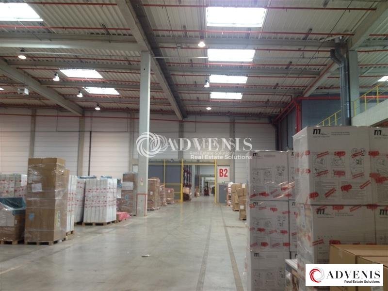 Location Entrepôts LAUWIN PLANQUE (59553) - Photo 8