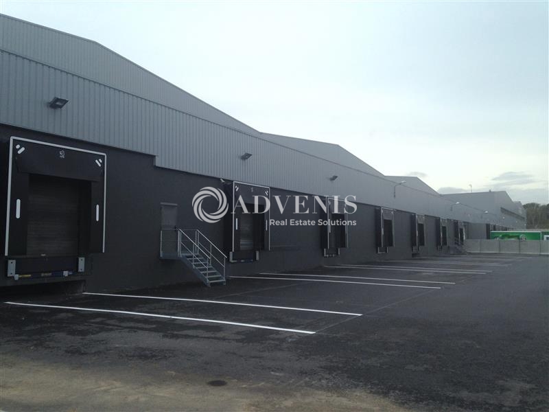 Location Entrepôts LOMME (59160) - Photo 1