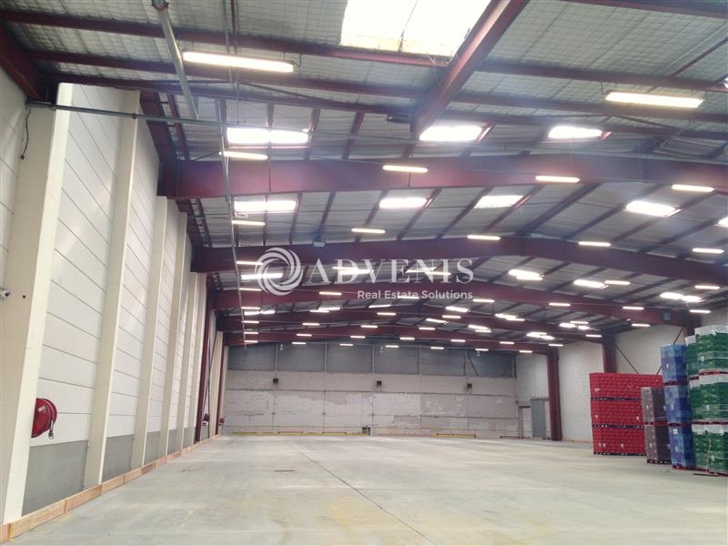 Location Entrepôts LOMME (59160) - Photo 2