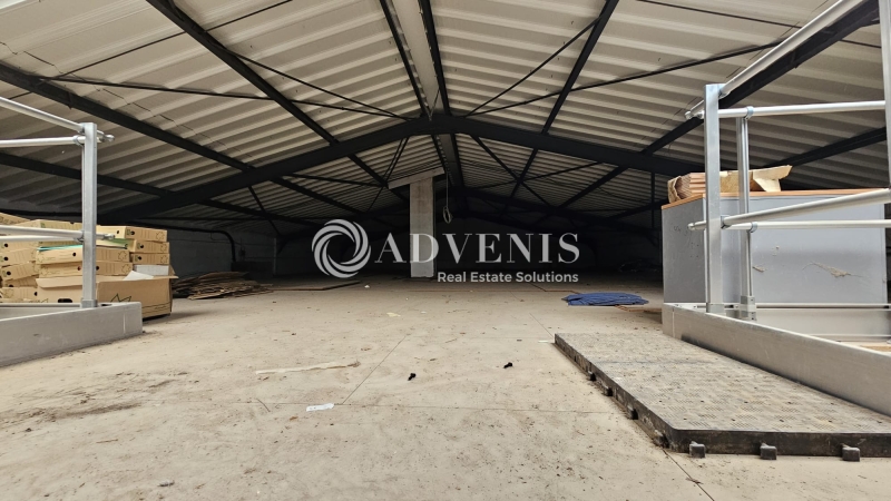 Location Entrepôts VENDEVILLE (59175) - Photo 2