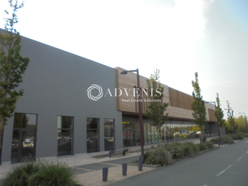 Location Bureaux et activités légères MARQUETTE LEZ LILLE (59520) - Photo 1