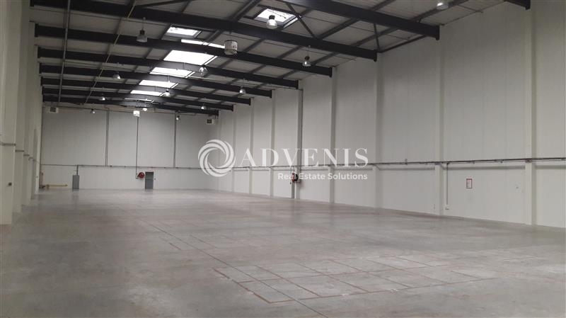 Location Entrepôts LILLE (59000) - Photo 6