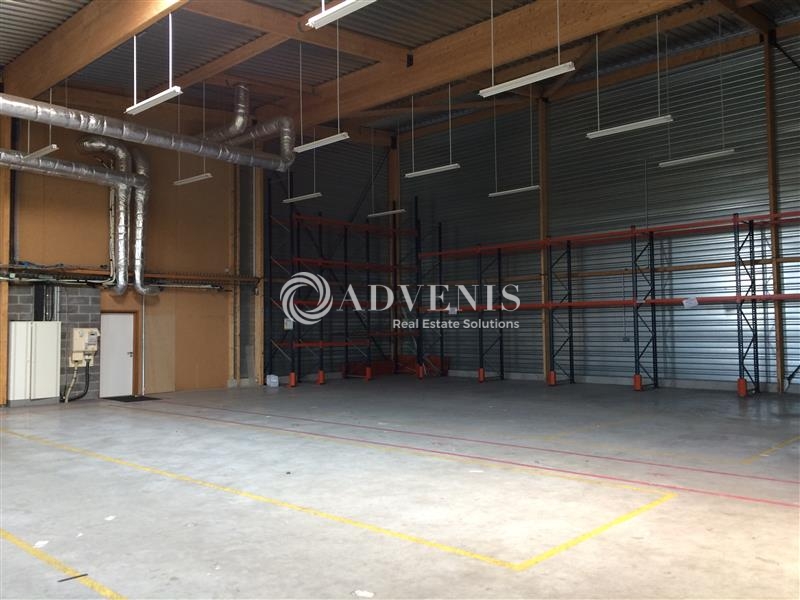 Location Entrepôts VILLENEUVE D'ASCQ (59650) - Photo 2