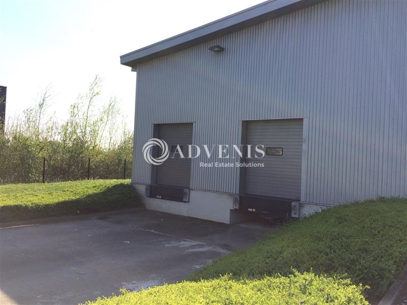 Location Entrepôts VILLENEUVE D'ASCQ (59650) - Photo 7