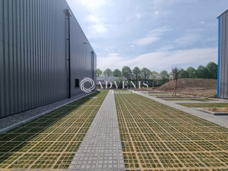 Location Entrepôts CARVIN (62220) - Photo 9