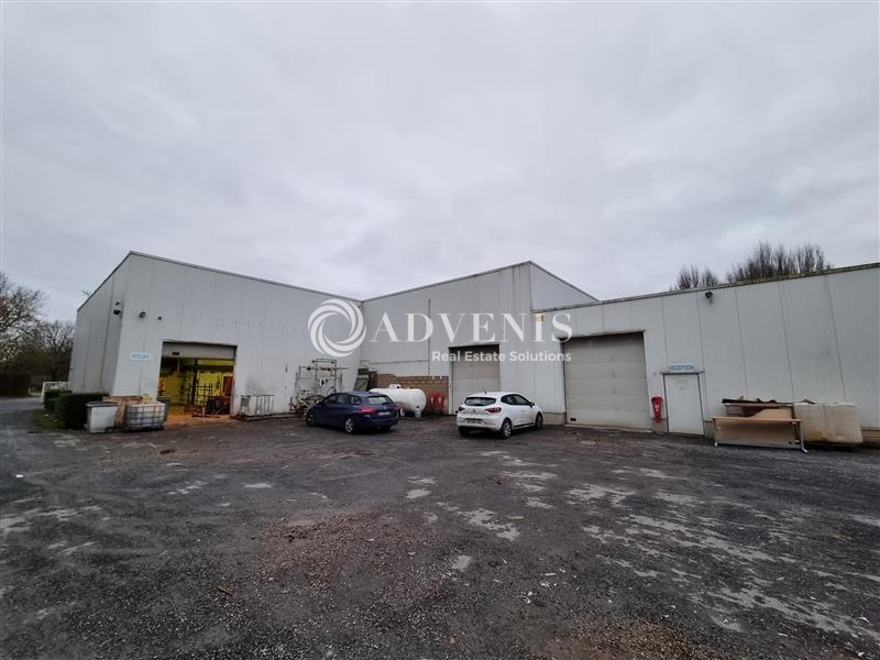 Location Activités Entrepôts VILLENEUVE D'ASCQ (59650) - Photo 6
