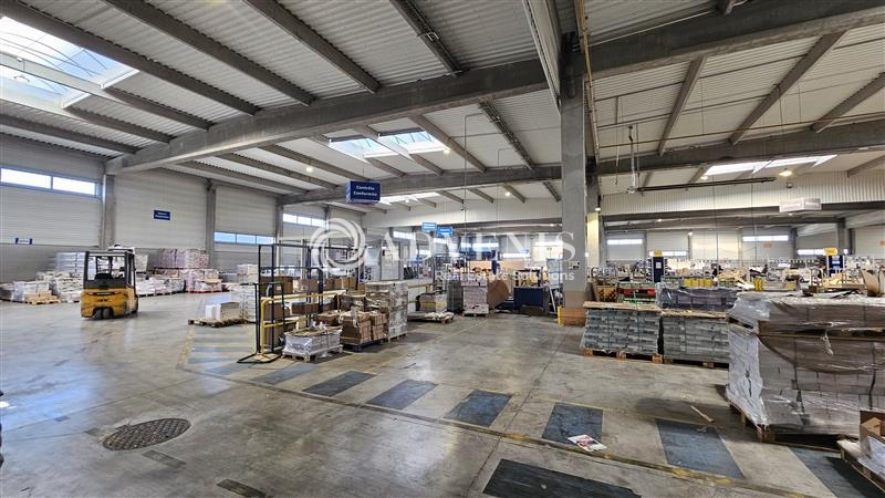 Location Entrepôts LESQUIN (59810) - Photo 7