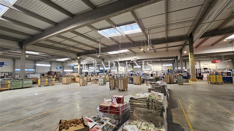 Location Entrepôts LESQUIN (59810) - Photo 8