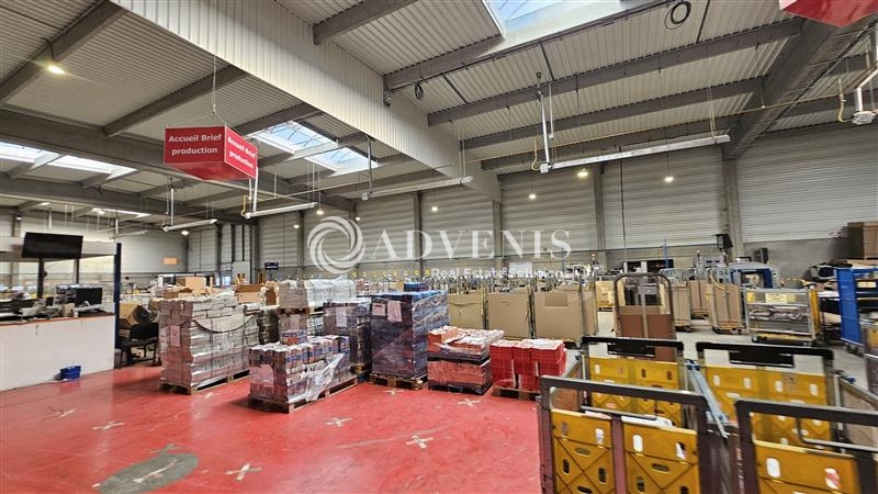 Location Entrepôts LESQUIN (59810) - Photo 9
