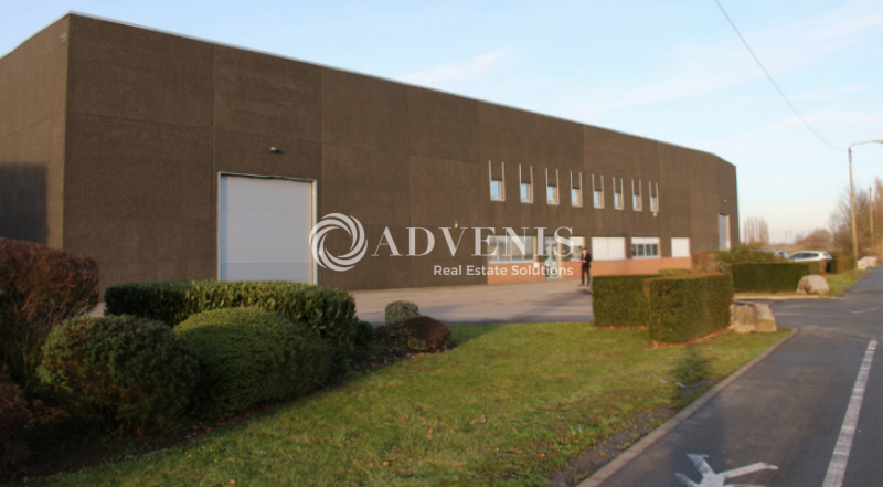 Location Entrepôts AVELIN (59710) - Photo 1