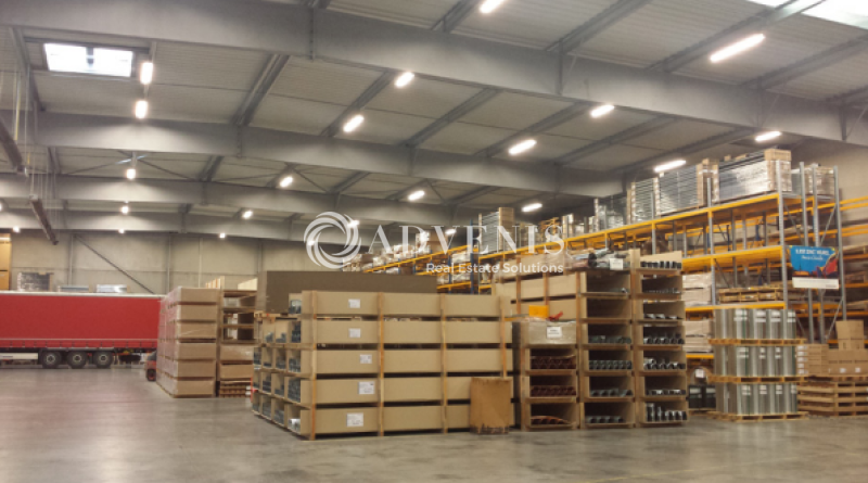 Location Entrepôts AVELIN (59710) - Photo 3