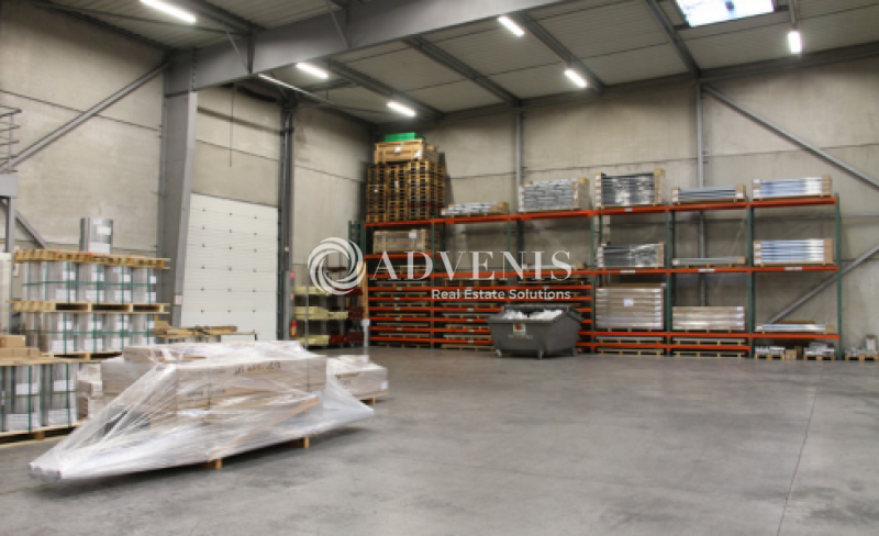 Location Entrepôts AVELIN (59710) - Photo 4