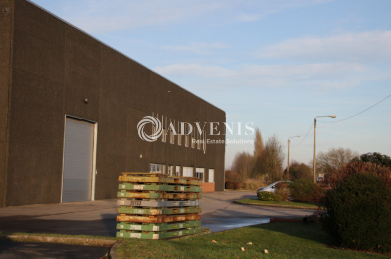 Location Entrepôts AVELIN (59710) - Photo 5
