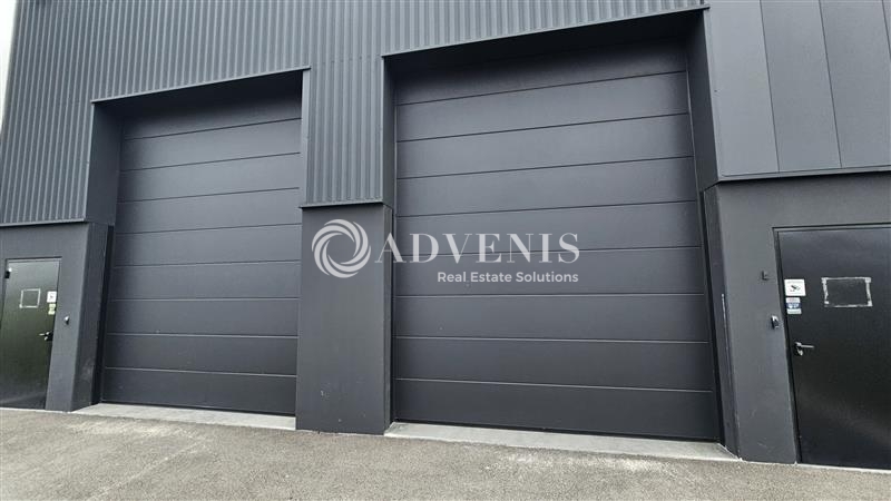 Location Entrepôts AVELIN (59710) - Photo 6