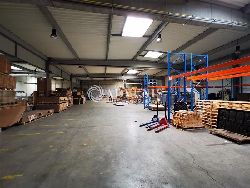 Location Entrepôts SAINGHIN EN MELANTOIS (59262) - Photo 3