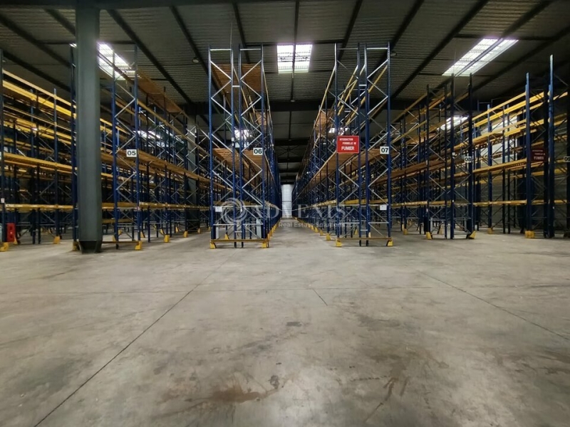 Location Entrepôts SECLIN (59113) - Photo 5