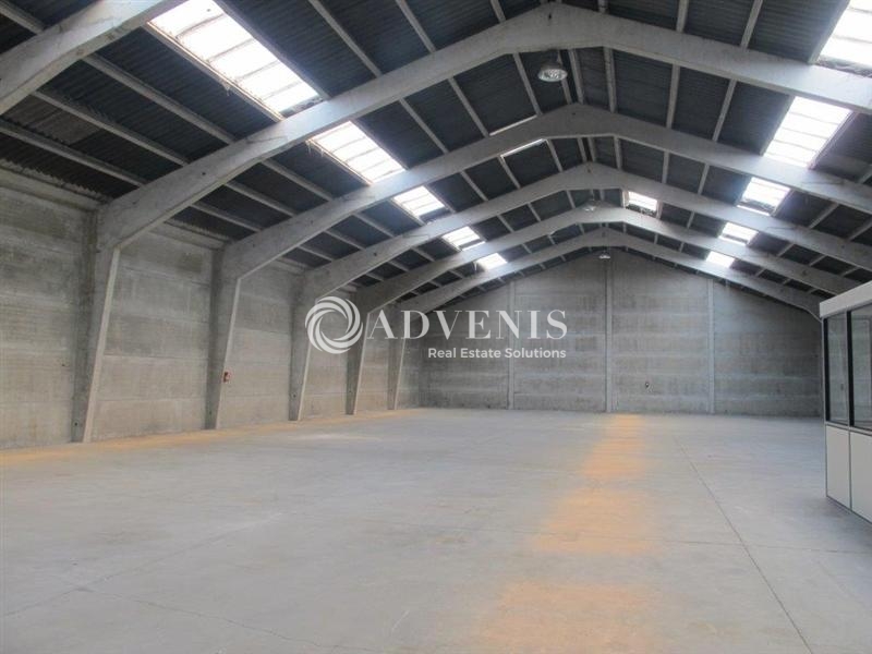 Location Activités Entrepôts SECLIN (59113) - Photo 3
