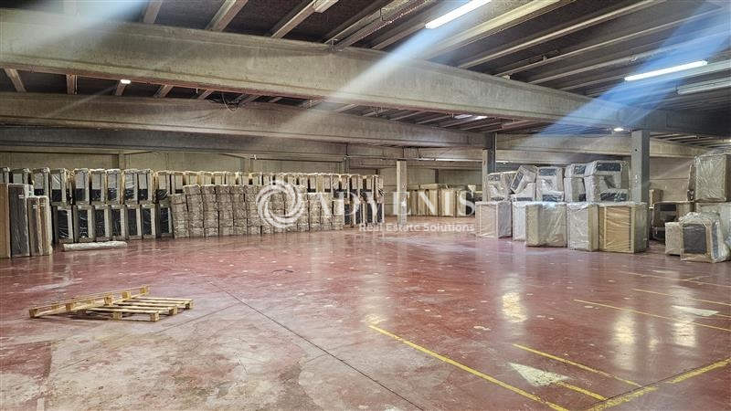 Location Entrepôts HALLUIN (59250) - Photo 7